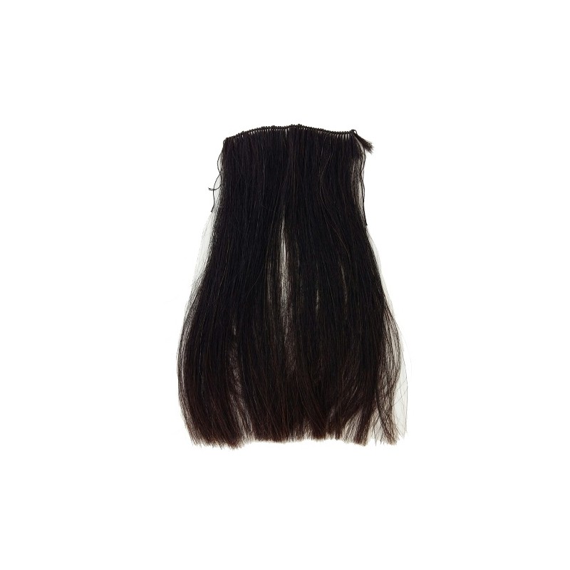 Clip in Mane extensions 4 inch wide standard thickness